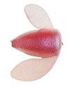 Спиннербэйты фирмы yakima bait. Расцветка PLR